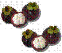 mangosteen